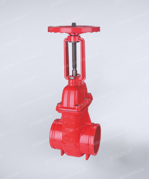 Z81T 沟槽明杆防护铜杆铜芯闸阀 